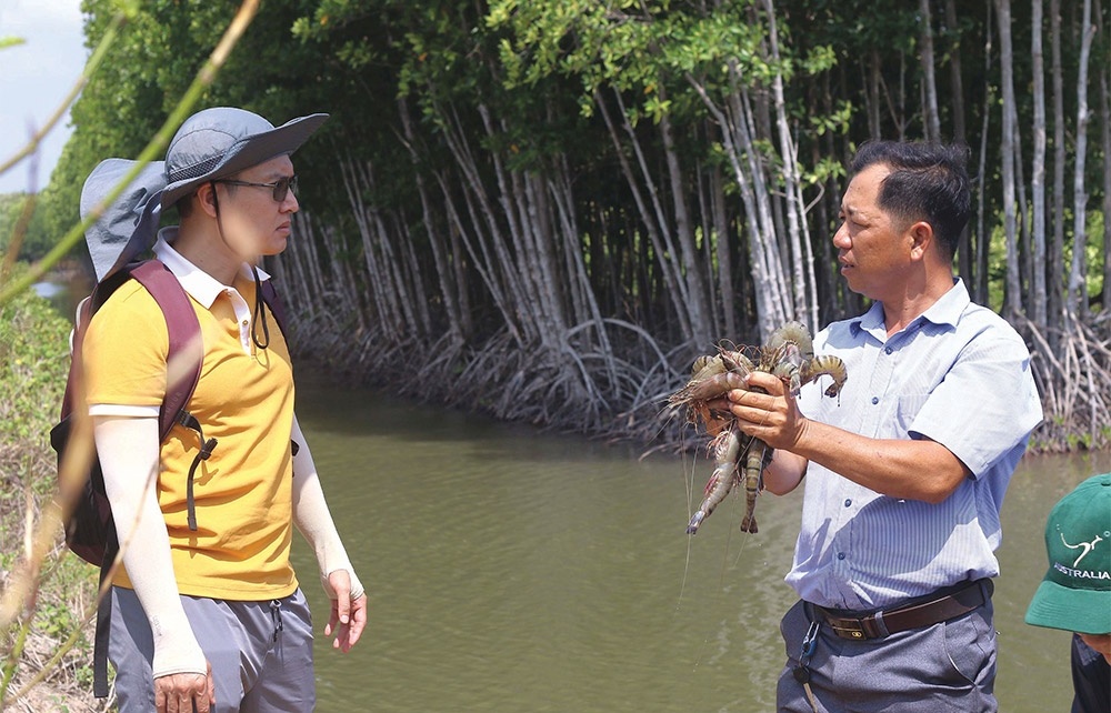 Shrimp farms adapt to modern techniques