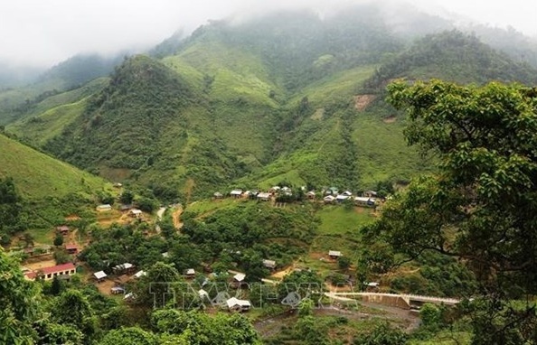 Quang Binh receives over 3.38 million USD from selling carbon credit