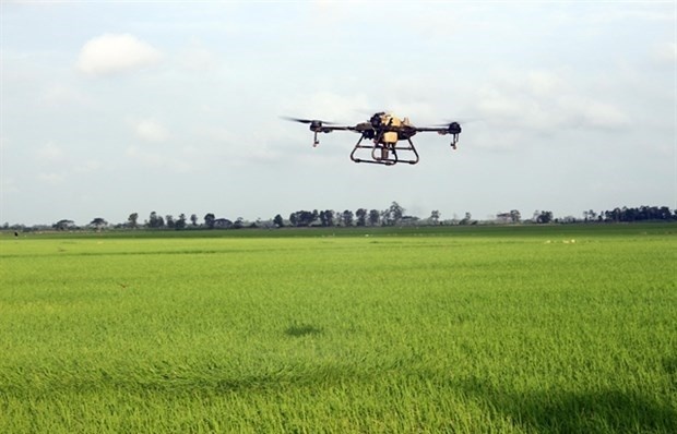 WB-funded agriculture project benefits 29,000 farmer households in Soc Trang