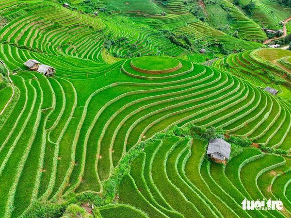 What’s not to be missed while traveling to Vietnam?