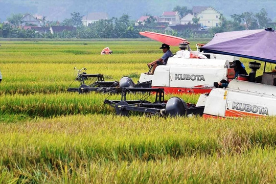 Yên Thành phấn đấu thành huyện nông thôn mới nâng cao, nông thôn mới kiểu mẫu