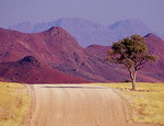 Vẻ đẹp hoang dã ở Namibia