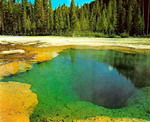 Công viên quốc gia Yellowstone