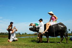 Vietravel: Công bố kết quả cuộc thi “Ảnh đẹp du lịch” qua mạng www.travel.com.vn