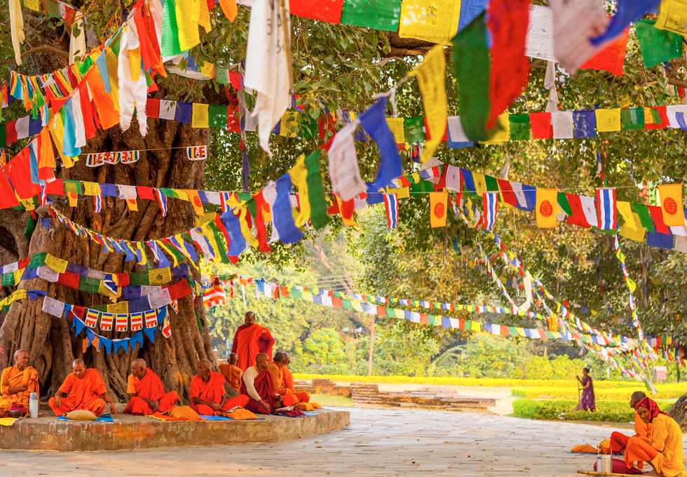 Cây Bồ Đề - Linh Hồn của Bodh Gaya và Biểu Tượng Tâm Linh Của Phật Giáo