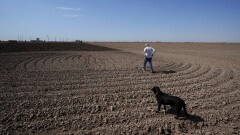 Virginia tham gia cùng các bang đang cố gắng ngăn chặn California quản lý các doanh nghiệp ở các bang khác