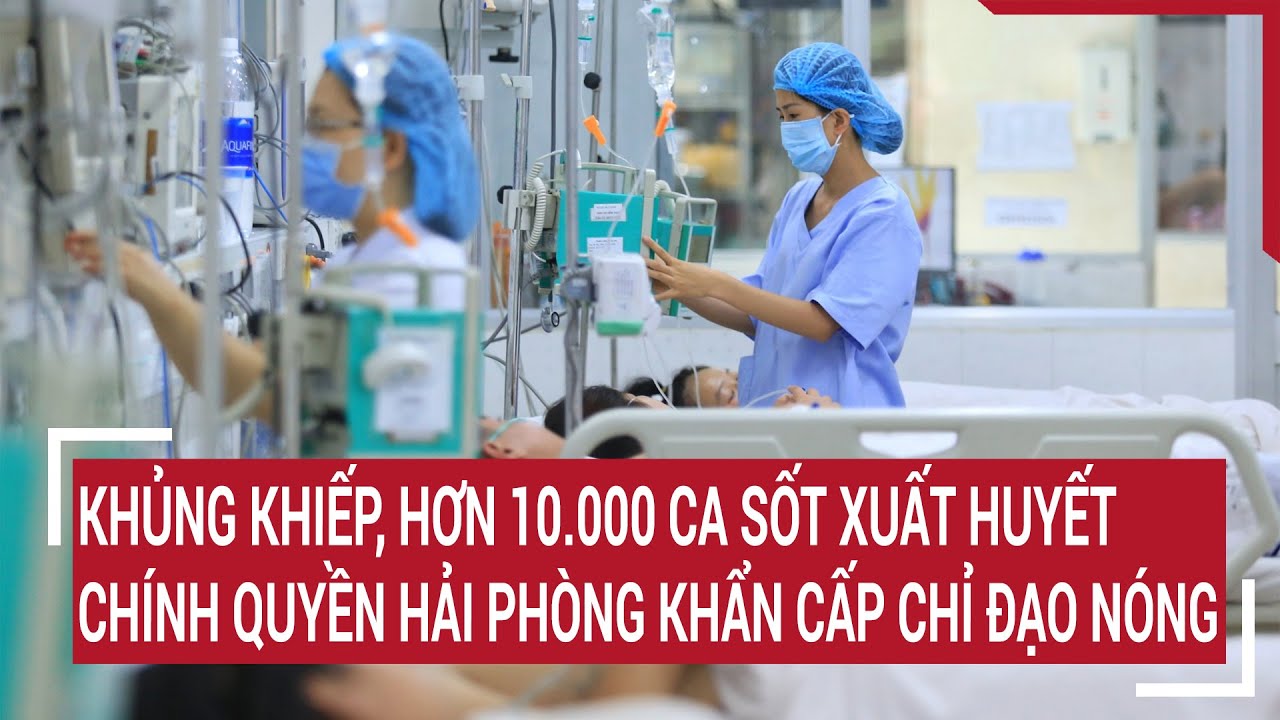 Khủng khiếp, hơn 10.000 ca sốt xuất huyết, Chính quyền Hải Phòng khẩn cấp chỉ đạo nóng