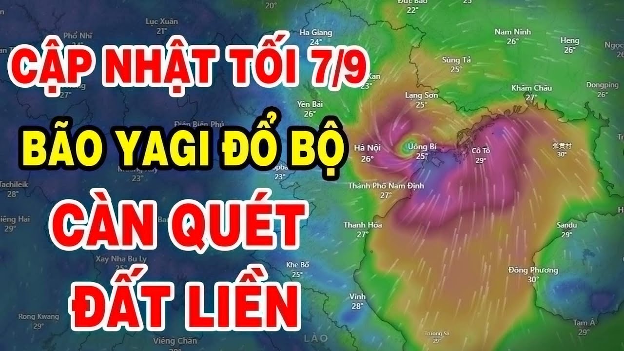 🔴TIN KHẨN CẤP TỐI 7/9: Bão số 3 Yagi càn quét đất liền dữ dội, cảnh tượng tan hoang chưa thừng thấy