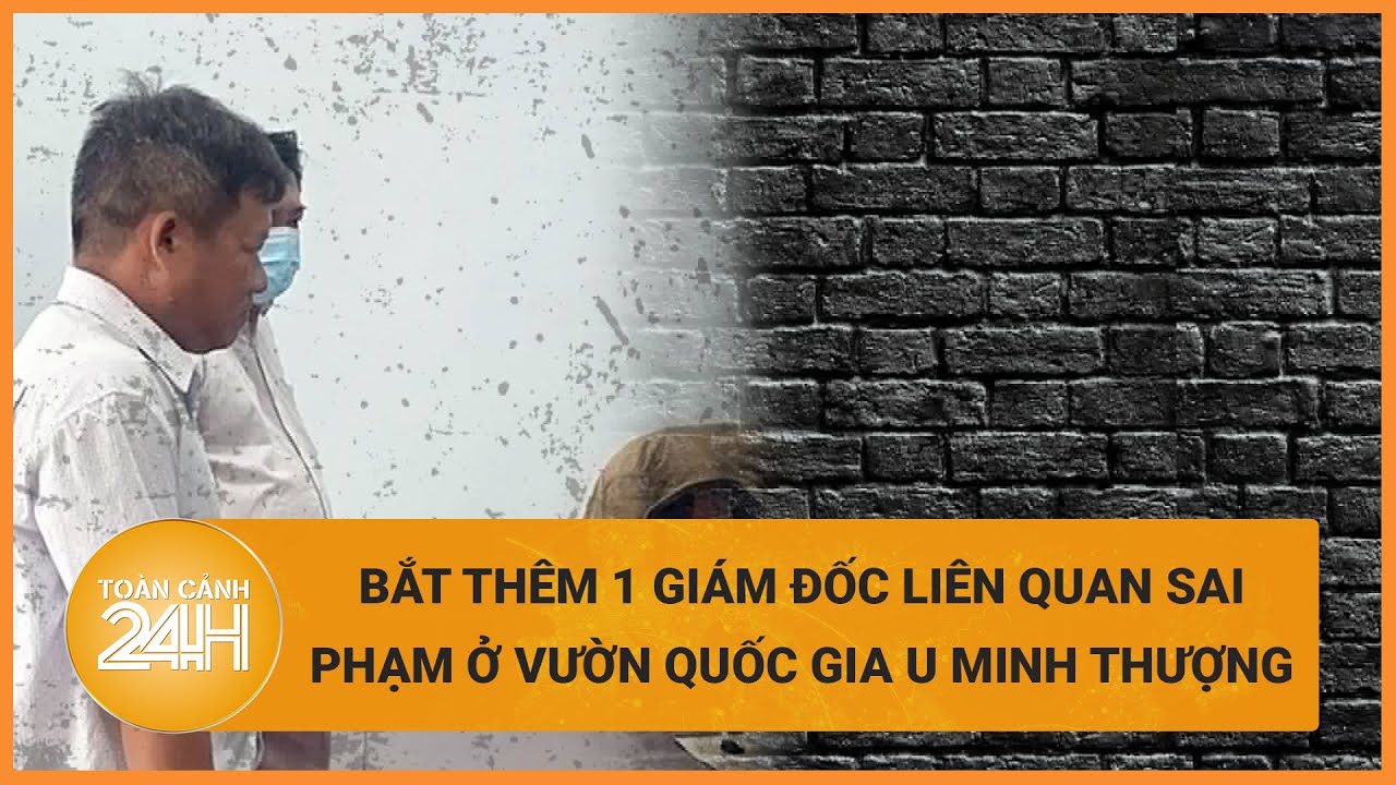 Vụ án vườn quốc gia U Minh Thượng: Bắt thêm 1 Giám đốc công ty xây dựng | Toàn cảnh 24h