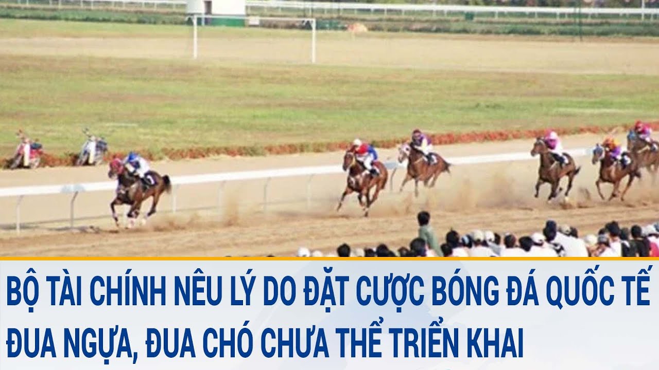 Bộ Tài chính nêu lý do đặt cược bóng đá quốc tế, đua ngựa, đua chó chưa thể triển khai