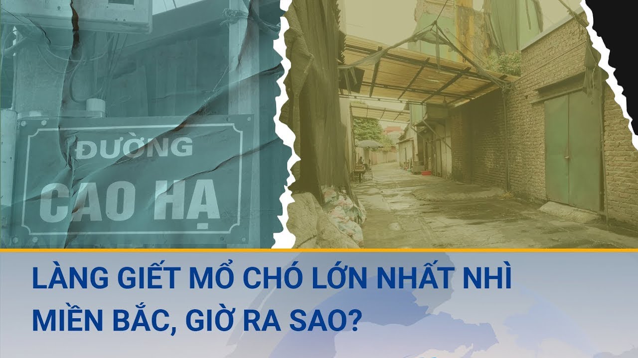 Làng giết mổ chó lớn nhất nhì miền Bắc: Nhiều hộ xây nhà, mua ô tô nhờ nghề đồ tể giờ ra sao?