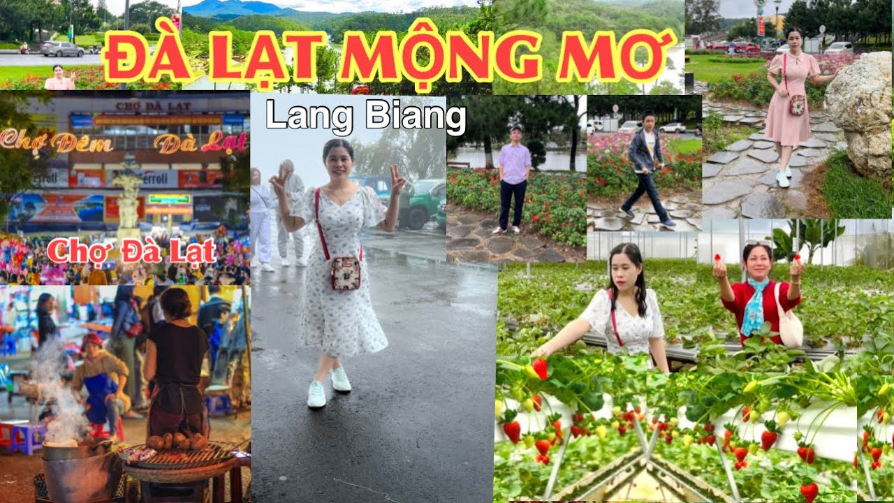 Du Lịch Đà Lạt - Ăn Uống Vui Chơi Tham Quan Những Điểm Đến Lý Tưởng cùng ALO TRÀ VINH- Phần 1