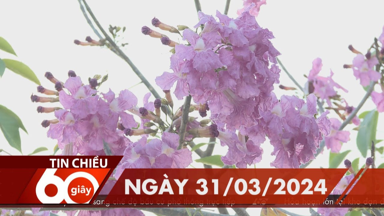 60 Giây Chiều - Ngày 31/03/2024 | HTV Tin tức