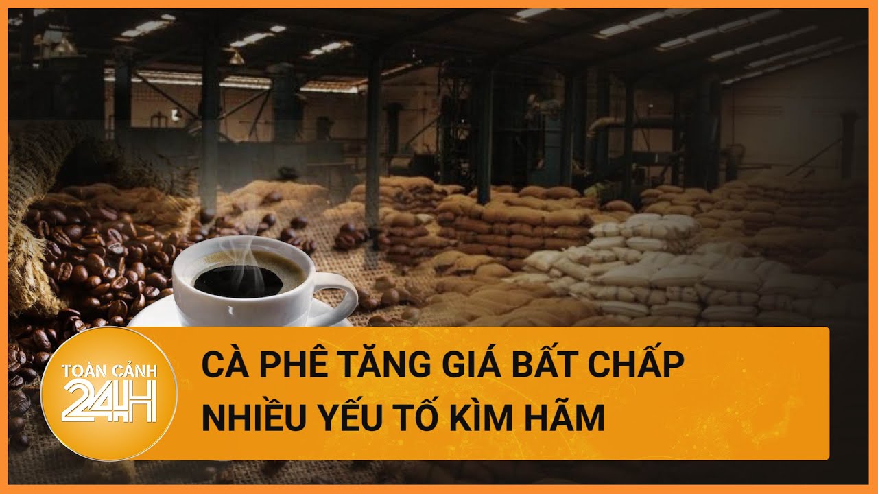 Giá cà phê tăng bất chấp nhiều yếu tố kìm hãm | Toàn cảnh 24h