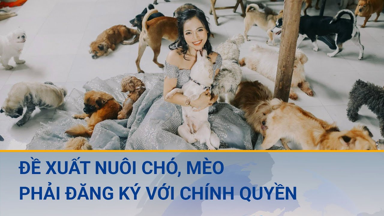 Đề xuất nuôi chó, mèo phải đăng ký với chính quyền,  khuyến khích gắn chip điện tử