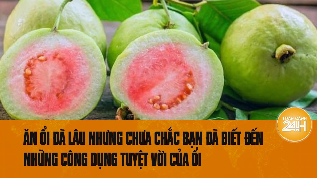 Ăn ổi có tác dụng gì? Những lợi ích không ngờ đến từ loại trái cây dân dã | Toàn cảnh 24h