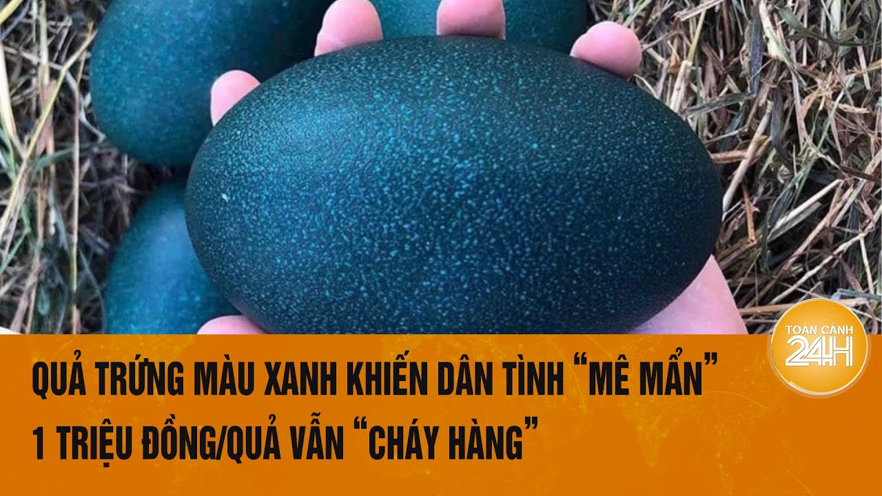 Quả trứng màu xanh khiến dân tình “mê mẩn”, 1 triệu đồng/quả vẫn “cháy hàng” | Toàn cảnh 24h