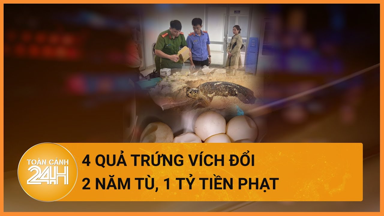 Mua bán 4 quả trứng vích, 2 người bị phạt tù, 2 người bị phạt 1 tỉ đồng| Toàn cảnh 24h