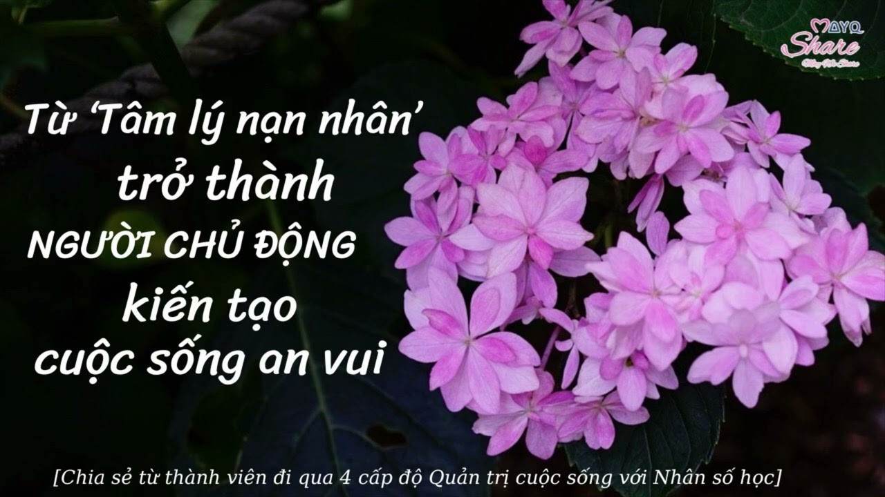 TỪ ‘TÂM LÝ NẠN NHÂN’, TRỞ THÀNH NGƯỜI CHỦ ĐỘNG KIẾN TẠO CUỘC SỐNG AN VUI | [MayQ Share]