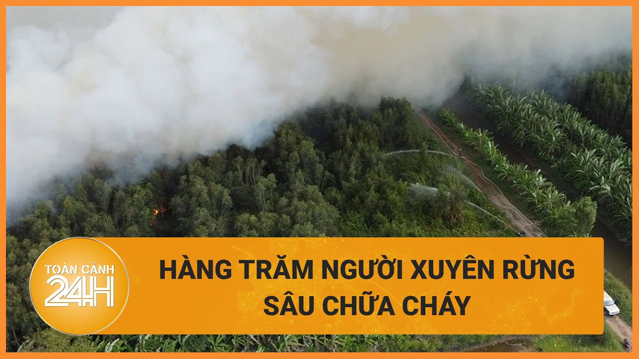 Nguyên nhân khiến vụ cháy rừng lại Cà Mau phải huy động hơn 600 người dập lửa? Toàn cảnh 24h