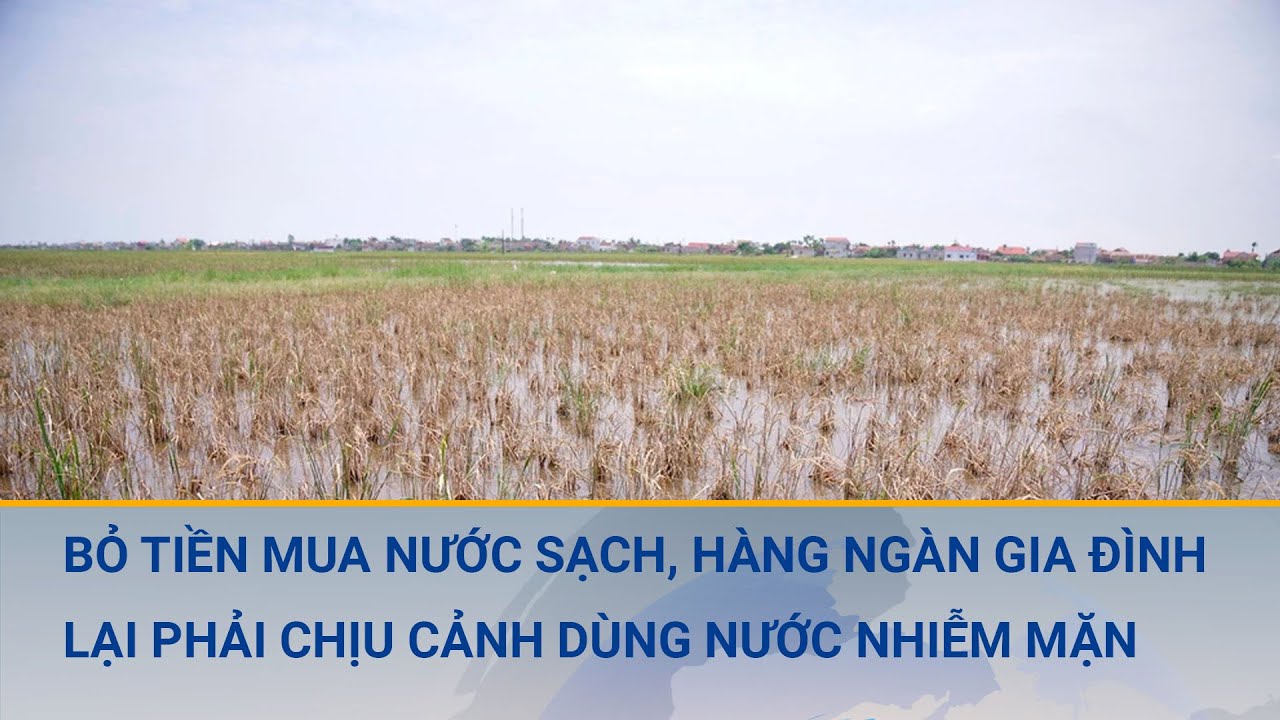 Nghịch lý tại Thái Bình: Bỏ tiền mua nước sạch, hàng ngàn gia đình lại phải dùng nước bẩn, nhiễm mặn