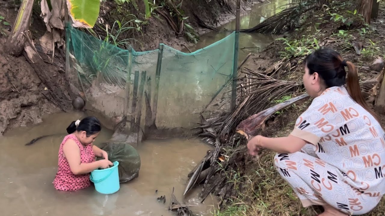 Bé Nguyên, Chịu Cực Đổ Lú Về Làm Cơm Trong Bữa Ăn Lại Có Quà Bất Ngờ |Atml&family T565