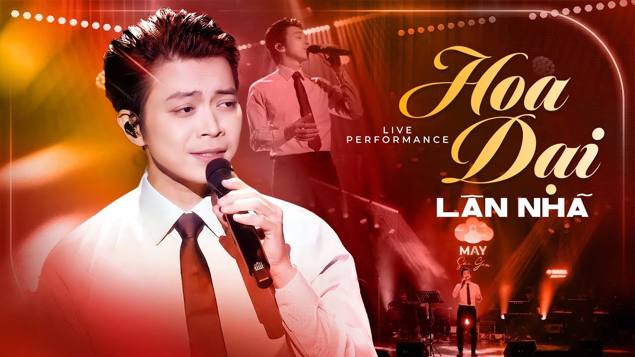 LÂN NHÃ Để Lại Dấu Ấn Với Giọng Live Đầy Trầm Lắng & Da Diết | LK Hoa Dại, Chỉ Cần Em Hạnh Phúc