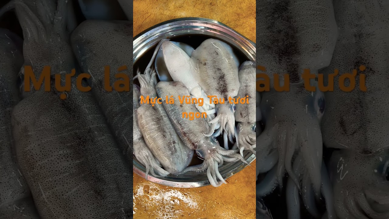Mực lá Vũng Tàu