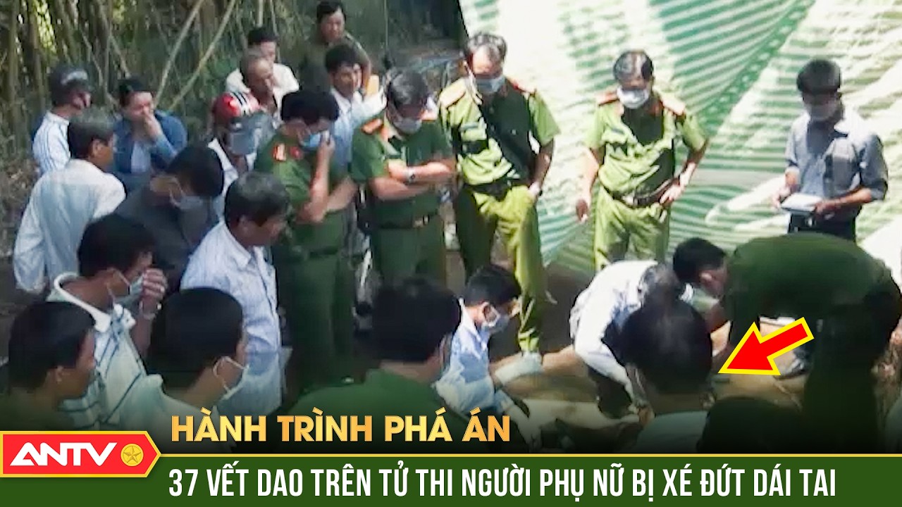 Nuôi ong tay áo, người phụ nữ đơn thân hứng 37 nhát dao oan nghiệt | Hành trình phá án | ANTV