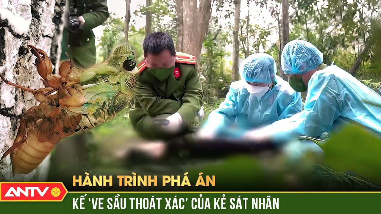 Hành trình phá án hay nhất ngày 24/1/2024 | ANTV