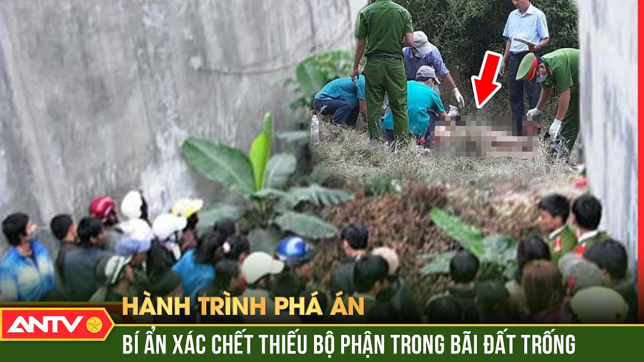 Bí ẩn rợn người đằng sau thi thể người phụ nữ thiếu nhiều bộ phận trong bãi đất trống | HTPA | ANTV