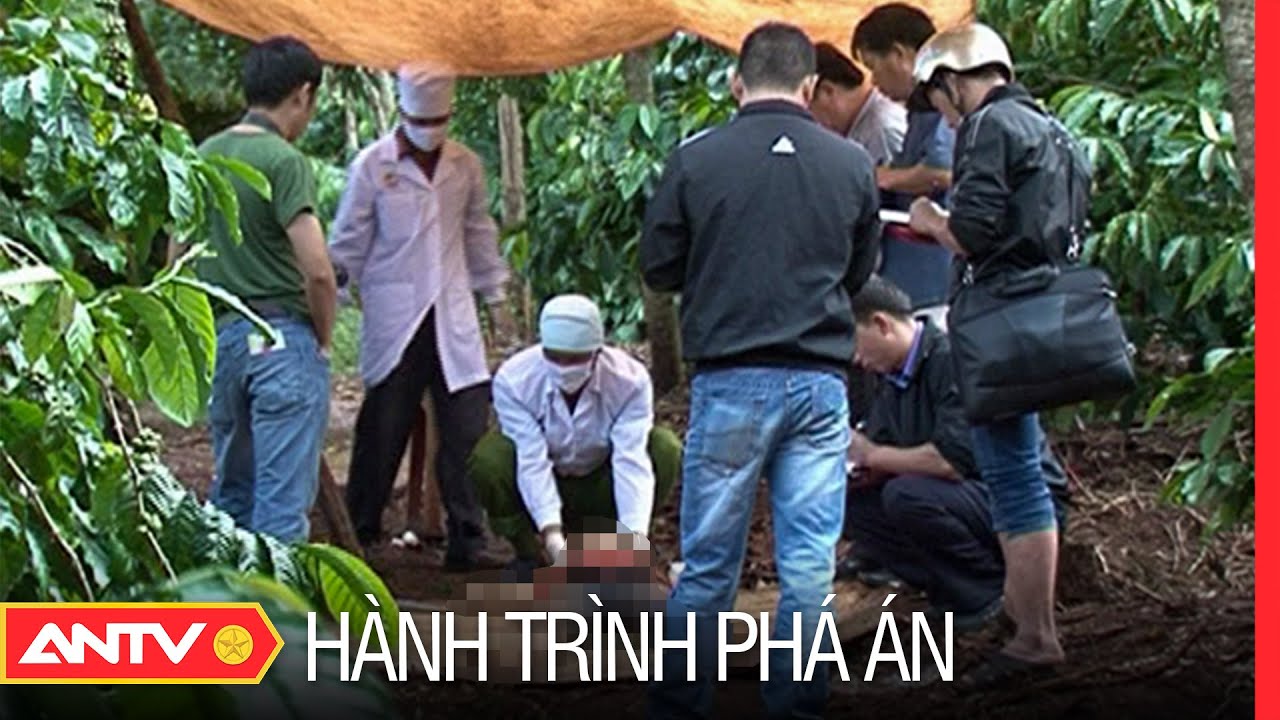 Hành trình phá án hay nhất 18/8/2023: Truy bắt những tên cướp lang thang ‘giở trò' với cụ bà | ANTV