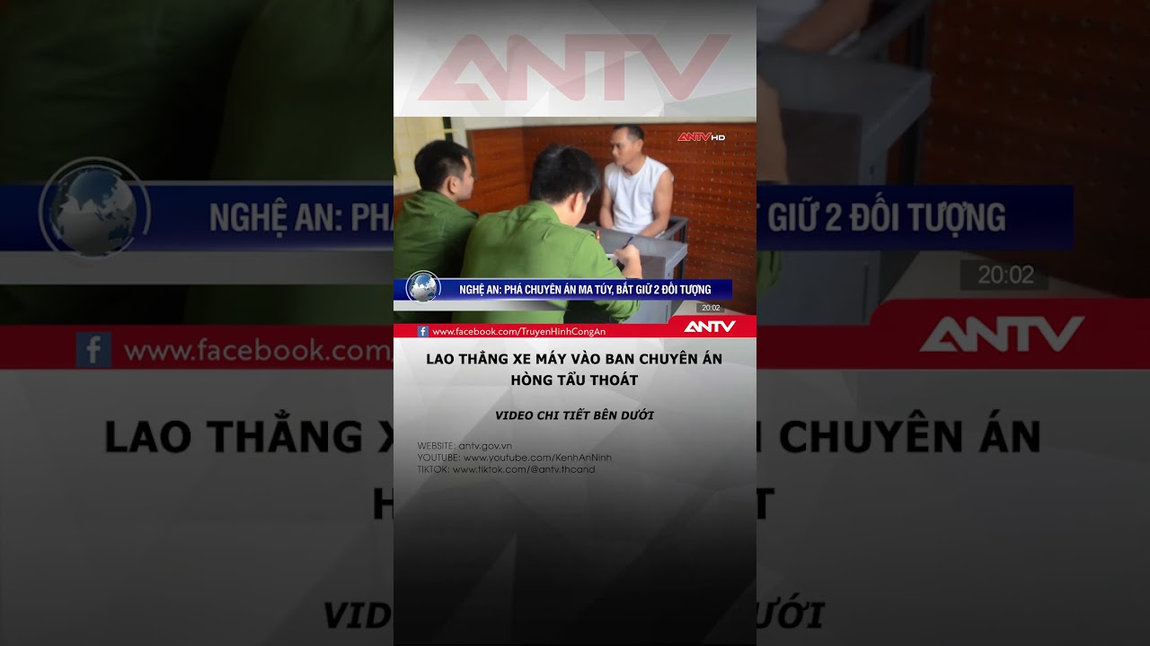 Bắt giữ 2 đối tượng xây nhà kiên cố, nuôi chó dữ để buôn bán ma túy #antv #shorts #matuy #tintuc