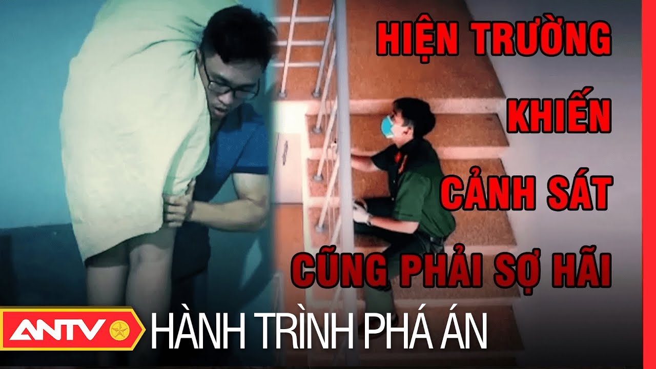 Hành trình phá án hay nhất ngày 2/11/2023 | ANTV