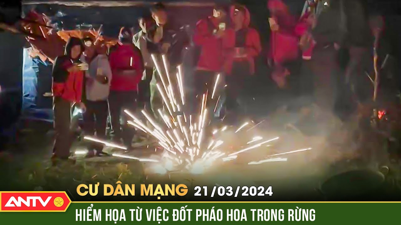 Lên án nhóm leo núi đốt pháo hoa trong rừng để mừng sinh nhật bạn | Cư dân mạng | ANTV