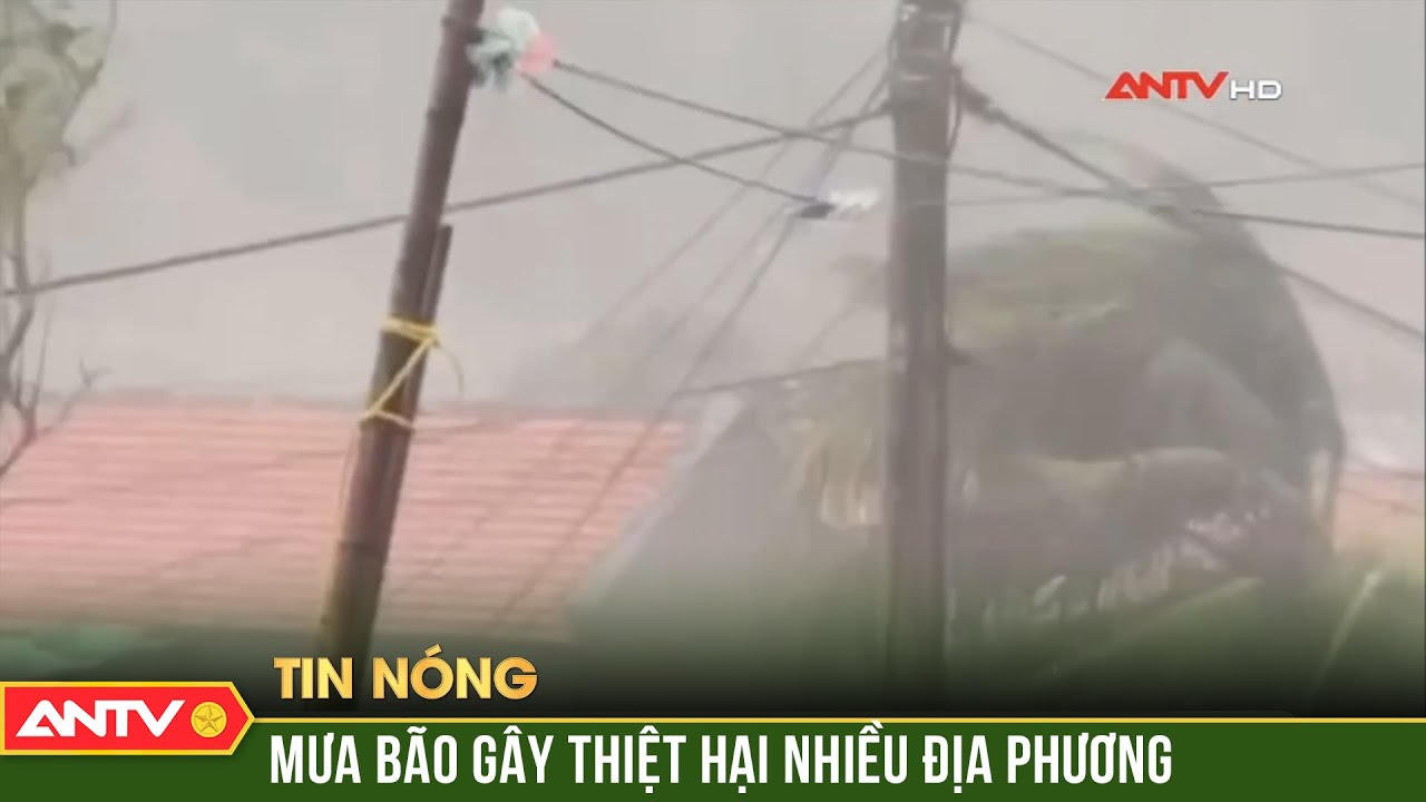 Bão số 3 gây mưa kèm dông gió mạnh quật bay mái tôn, cây xanh nhiều địa phương  | ANTV