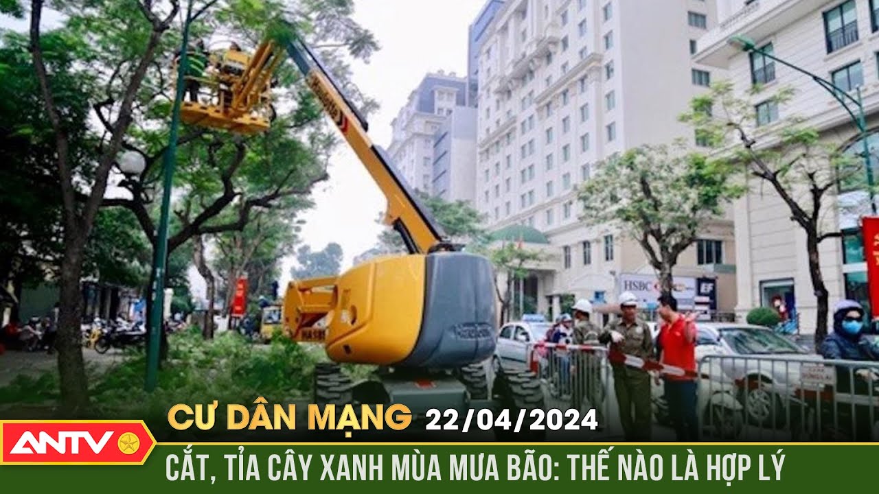 Cắt, tỉa cây xanh mùa mưa bão: Thế nào là hợp lý? | Cư dân mạng | ANTV