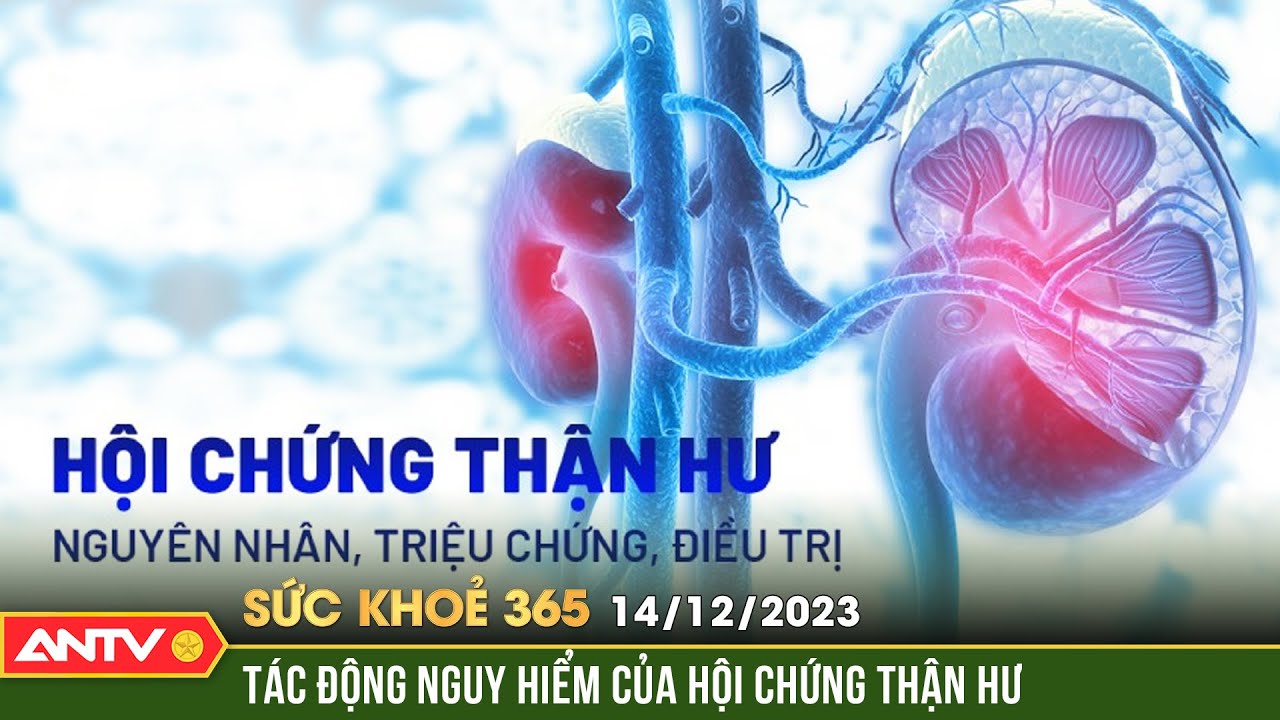 Tác động nguy hiểm của hội chứng thận hư: Nguyên nhân và cách điều trị | Sức khỏe 365 | ANTV