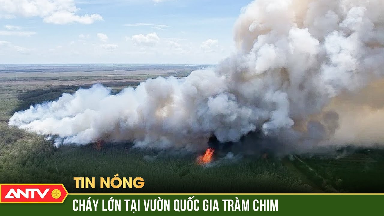 Khống chế đám cháy kinh hoàng tại Vườn Quốc gia Tràm Chim | ANTV