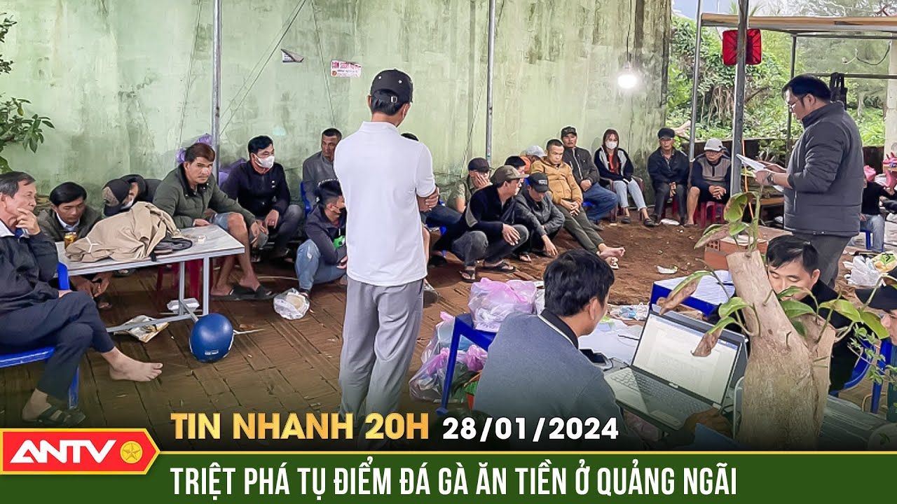 Tin nhanh 20h ngày 28/1: Triệt phá tụ điểm đá gà hàng chục người tham gia ở Quảng Ngãi