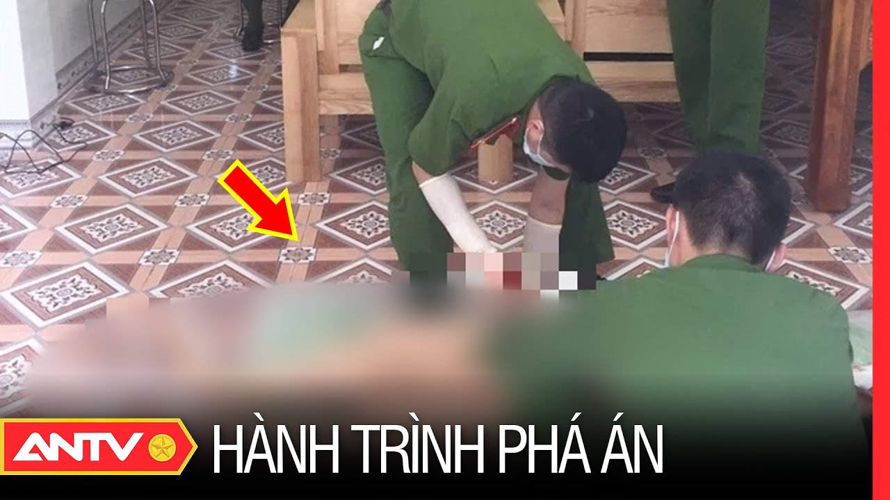 Hành trình phá án hay nhất ngày 4/11/2023 | ANTV