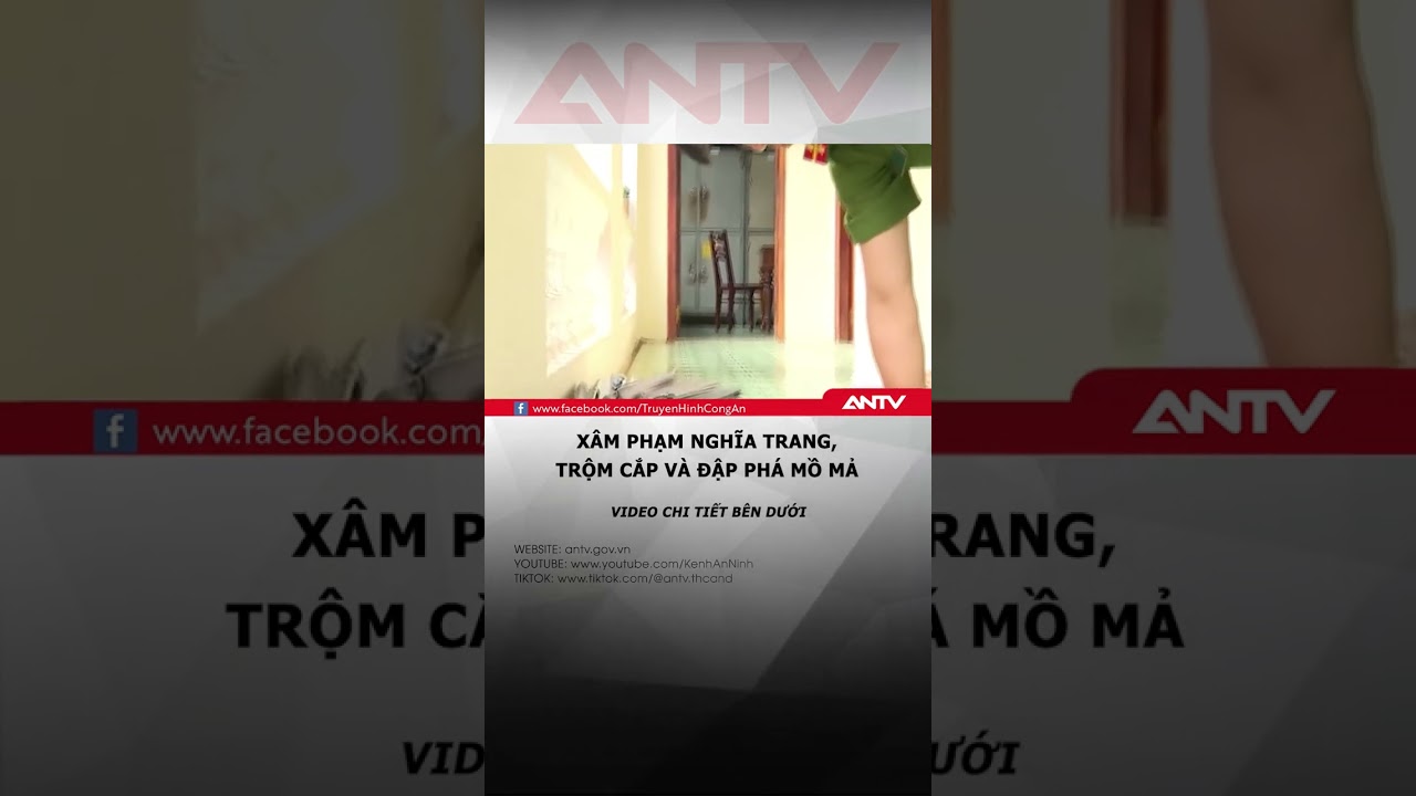 Nhóm lang thang nửa đêm đột nhập nghĩa trang, đập pháp mồ mả, trộm cắp tài sản #antv #shorts #tintuc