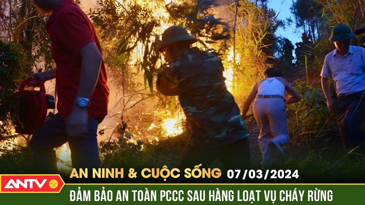 Lực lượng PCCC căng mình dập tắt cháy rừng diện rộng ở Lào Cai  | ANVCS | ANTV