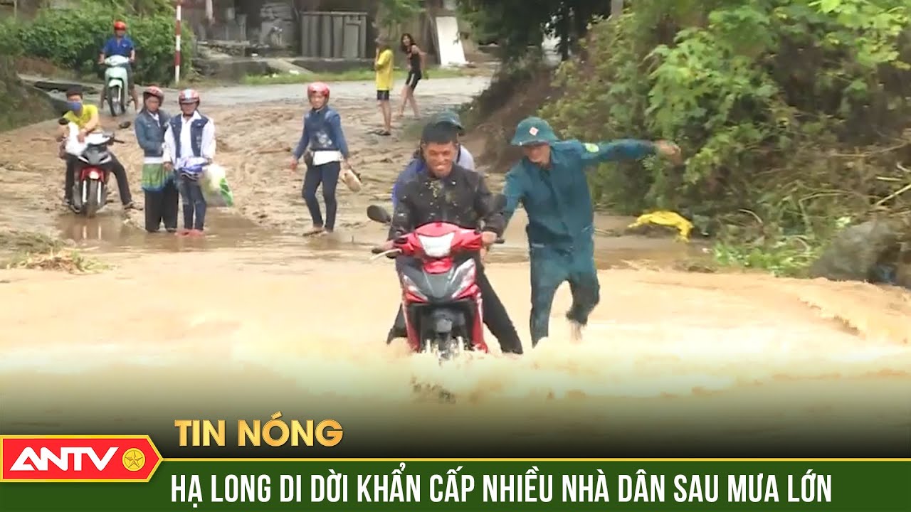 Mưa lớn kéo dài gây ngập lụt nhiều nơi, Thành phố Hạ Long khẩn cấp di dời 13 hộ dân trong đêm | ANTV