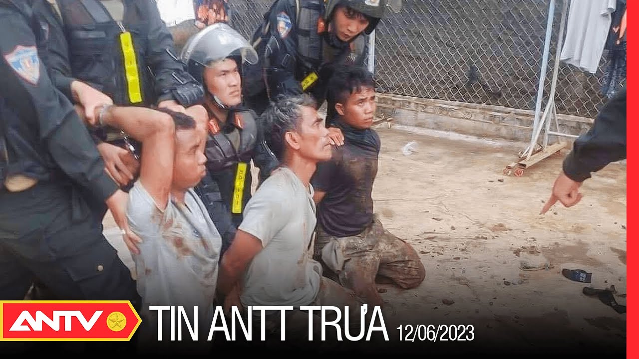 Tin tức an ninh trật tự nóng, thời sự Việt Nam mới nhất 24h trưa 12/6 | ANTV