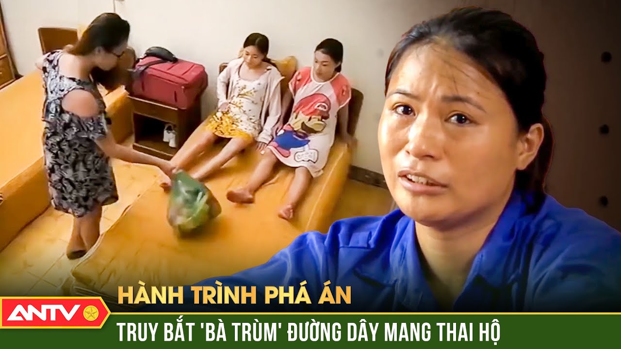 9 tháng 10 ngày từ điều dưỡng viên trở thành "bà trùm" đường dây mang thai hộ | Hành trình phá án