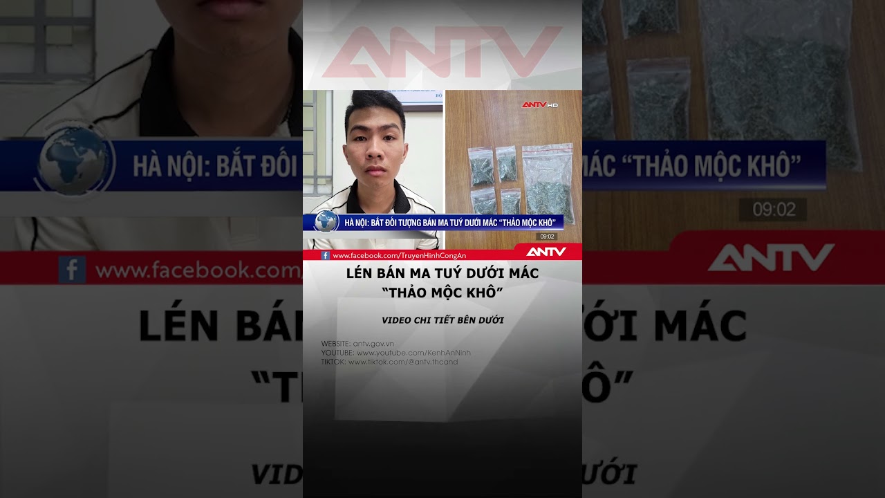 Giấu ma túy dưới mác 'thảo mộc khô'  trong túi quần đem đi bán kiềm lời #antv #shorts #tintuc #matuy