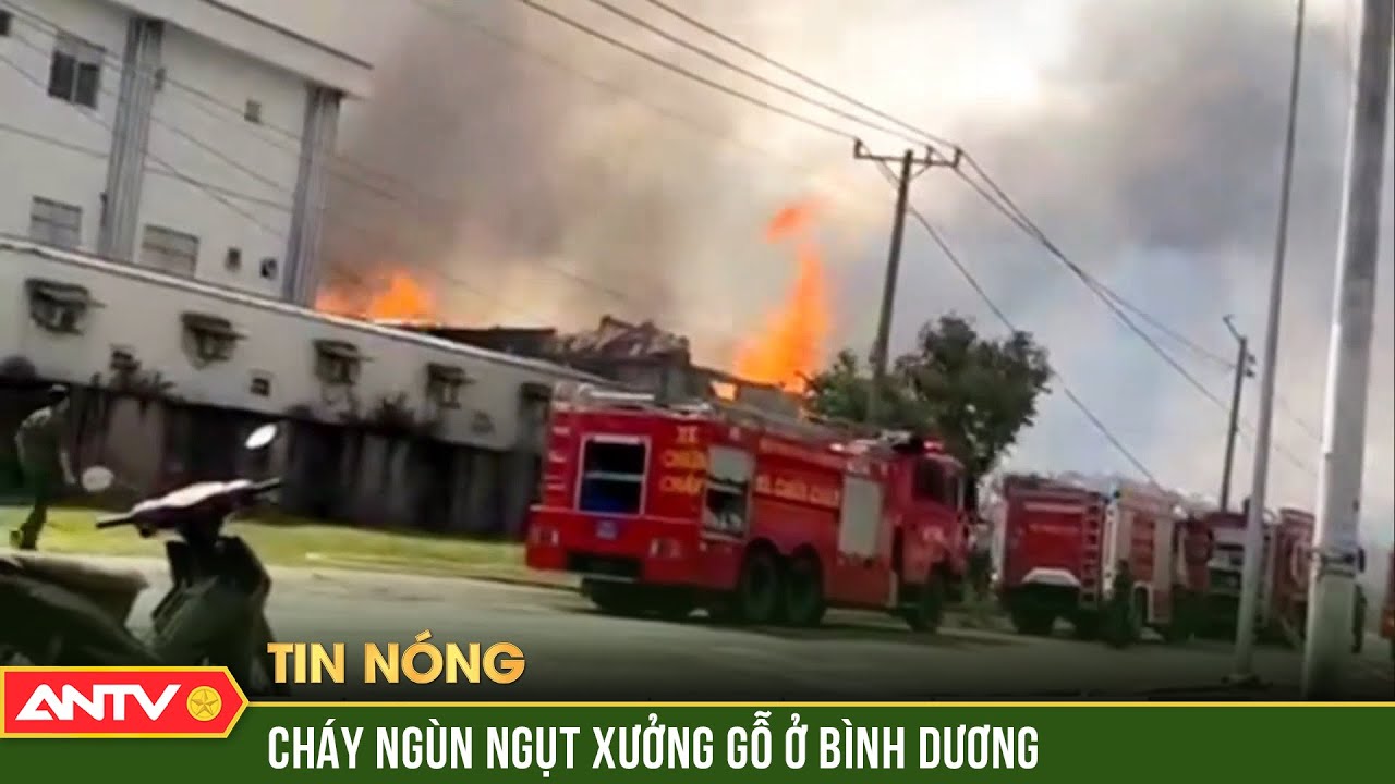 Cháy ngùn ngụt xưởng gỗ ở Bình Dương, khói đen bốc cao hàng chục mét | ANTV