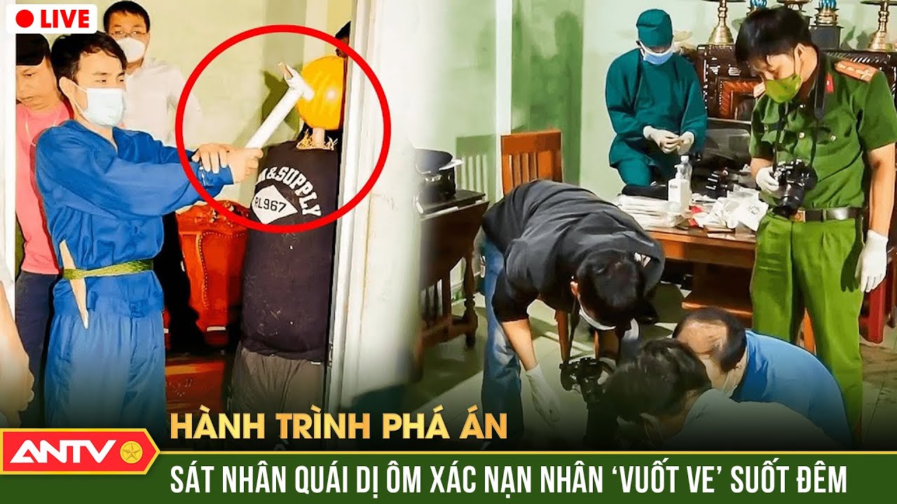 Hành trình phá án hay nhất ngày 23/11/2023 | ANTV