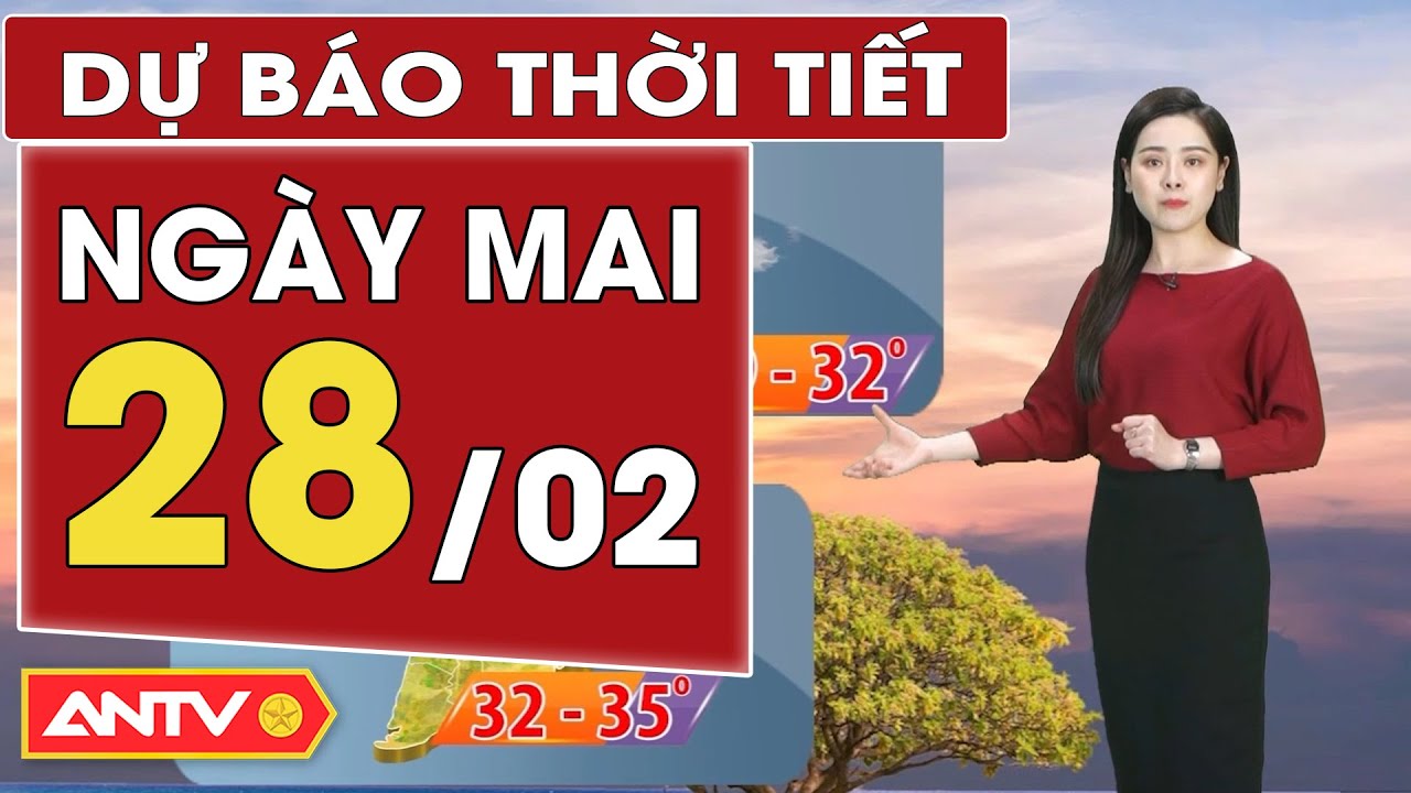 Dự báo thời tiết ngày mai 28/2: Miền Bắc mưa phùn và sương mù, nhiều nơi rét đậm | ANTV